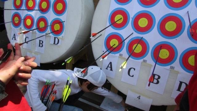 Archery Owls
